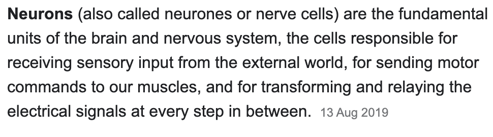 Neuron